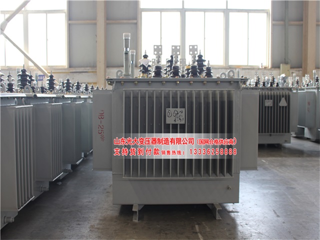 蚌埠S22-4000KVA油浸式变压器